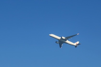 IMG_5155.jpg