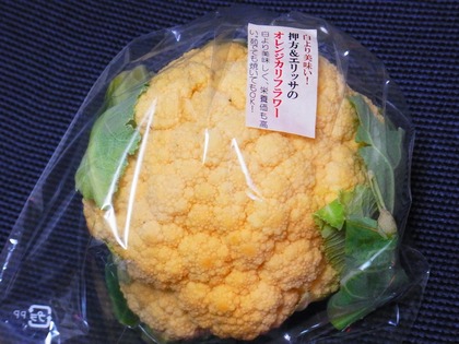 R5164083.jpg